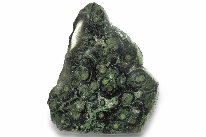 Free-Standing, Single-Side Polished Kambaba Jasper - Madagascar #267307